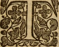 Picture 29 of 41 from Five disputations of church-government, and worship (1659), leaf 480