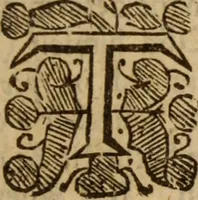 Picture 30 of 41 from Five disputations of church-government, and worship (1659), leaf 484