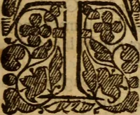 Picture 34 of 41 from Five disputations of church-government, and worship (1659), leaf 518