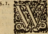 Picture 36 of 41 from Five disputations of church-government, and worship (1659), leaf 537