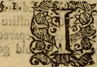 Picture 38 of 41 from Five disputations of church-government, and worship (1659), leaf 545