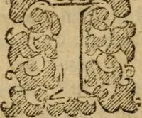 Picture 39 of 41 from Five disputations of church-government, and worship (1659), leaf 549