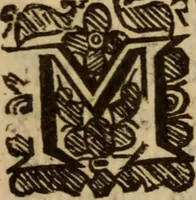 An illustration from Five disputations of church-government, and worship (1659)