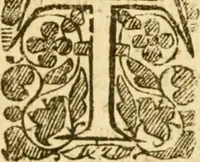 An illustration from Five disputations of church-government, and worship (1659)