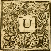 An illustration from Five disputations of church-government, and worship (1659)