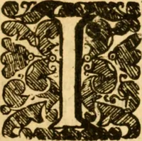 An illustration from Five disputations of church-government, and worship (1659)