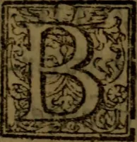 Picture 27 of 45 from Five books of philosophicall comfort ... (1609), leaf 132