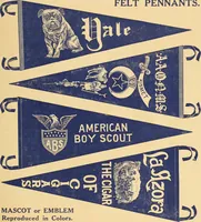 An illustration from Flags, banners and decoration goods of every description. (1915)