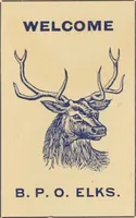 An illustration from Flags, banners and decoration goods of every description. (1915)