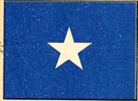 An illustration from Flags of the Army of the United States carried during the War of the Rebellion, 1861-1865, to designate the headquarters of the different armies, army corps, divisions and brigades (1887)