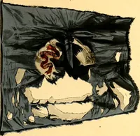 An illustration from The flags of the Confederate armies. Returned to the men who bore them by the United States government (1905)