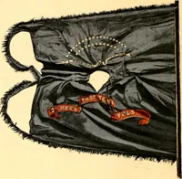 Picture 27 of 53 from The flags of the Confederate armies. Returned to the men who bore them by the United States government (1905), leaf 33