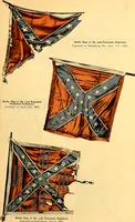 Picture 31 of 53 from The flags of the Confederate armies. Returned to the men who bore them by the United States government (1905), leaf 36