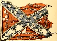 Picture 42 of 53 from The flags of the Confederate armies. Returned to the men who bore them by the United States government (1905), leaf 45