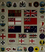 An illustration from Flags of the United States and foreign countries (1914)