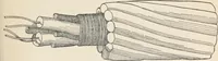 An illustration from Flame, electricity and the camera; man's progress from the first kindling of fire to the wireless telegraph and the photography of color (1900)