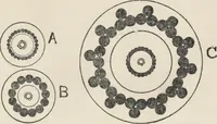 An illustration from Flame, electricity and the camera; man's progress from the first kindling of fire to the wireless telegraph and the photography of color (1900)