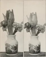 An illustration from Flame, electricity and the camera; man's progress from the first kindling of fire to the wireless telegraph and the photography of color (1900)