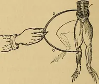 An illustration from Flame, electricity and the camera; man's progress from the first kindling of fire to the wireless telegraph and the photography of color (1901)