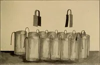 An illustration from Flame, electricity and the camera; man's progress from the first kindling of fire to the wireless telegraph and the photography of color (1901)