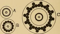 An illustration from Flame, electricity and the camera; man's progress from the first kindling of fire to the wireless telegraph and the photography of color (1901)