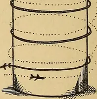 An illustration from Flame, electricity and the camera; man's progress from the first kindling of fire to the wireless telegraph and the photography of color (1901)