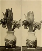An illustration from Flame, electricity and the camera; man's progress from the first kindling of fire to the wireless telegraph and the photography of color (1901)