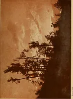 An illustration from Flame, electricity and the camera; man's progress from the first kindling of fire to the wireless telegraph and the photography of color (1901)