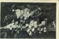 Picture 517 of 621 from Flandre (1913), leaf 296