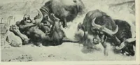 Picture 592 of 621 from Flandre (1913), leaf 335