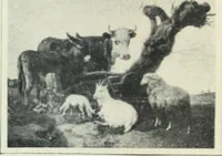 Picture 599 of 621 from Flandre (1913), leaf 338