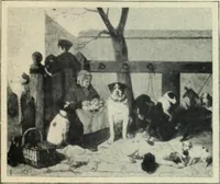 An illustration from Flandre (1913)