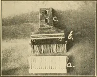Picture 14 of 83 from Flat machine knitting and fabrics (1921), leaf 25