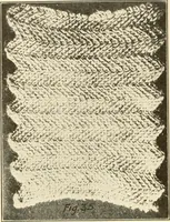 Picture 28 of 83 from Flat machine knitting and fabrics (1921), leaf 42