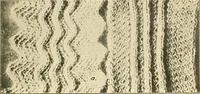 Picture 31 of 83 from Flat machine knitting and fabrics (1921), leaf 45