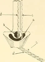 Picture 33 of 83 from Flat machine knitting and fabrics (1921), leaf 52