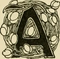 An illustration from Flats, urban houses and cottage homes; a companion volume to "The British home of to-day"; (1906)