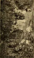 An illustration from Catalogue of E.A. Fleischmann's Fine Art Gallery, Munich (1894)