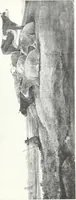 An illustration from Illustrated catalogue of 100 paintings of Old Masters of the Dutch, Flemish, Italian, French and English schools : belonging to the Sedelmeyer Gallery which contains about 1000 original paintings by ancient and modern artists (1894)