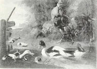 An illustration from Illustrated catalogue of 100 paintings of Old Masters of the Dutch, Flemish, Italian, French and English schools : belonging to the Sedelmeyer Gallery which contains about 1000 original paintings by ancient and modern artists (1894)