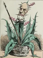 Picture 5 of 32 from Fleurs fruits & legumes du jour (1871), leaf 14