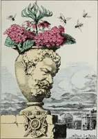 Picture 7 of 32 from Fleurs fruits & legumes du jour (1871), leaf 18