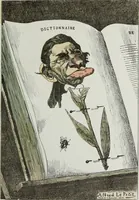 Picture 12 of 32 from Fleurs fruits & legumes du jour (1871), leaf 28