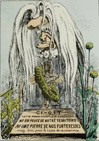 Picture 17 of 32 from Fleurs fruits & legumes du jour (1871), leaf 38