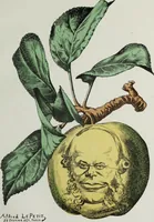 Picture 23 of 32 from Fleurs fruits & legumes du jour (1871), leaf 50