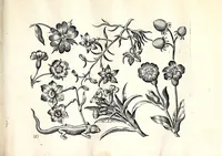 An illustration from Florae deae inter patrios & exoticos flores sedentis artificiosa delineatio (1630)