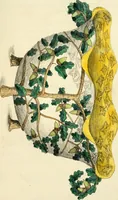 Picture 15 of 20 from Floral emblems (1825), leaf 216