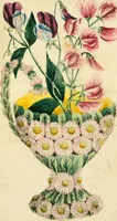 An illustration from Floral emblems (1825)