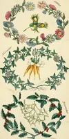 Picture 10 of 20 from Floral emblems (1825), leaf 84