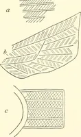 An illustration from The flora of the Assyrian monuments and its outcomes (1894)